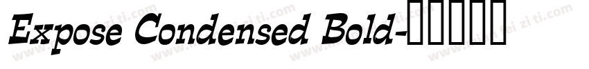 Expose Condensed Bold字体转换